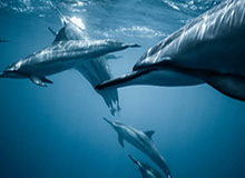 德州扑克-吾米提江：我们这批球员完全有机会创造历史，争取头名出线