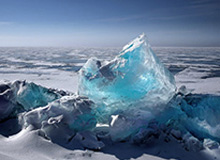 扑克牌-巢虫团AL先手开团击杀三人，后续乌鸦救主完成0换2